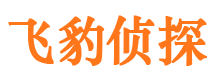 宁强捉小三公司